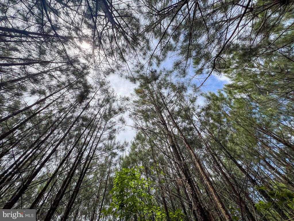 32082 Sparta Rd photo 25