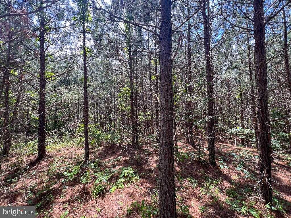 32082 Sparta Rd photo 28