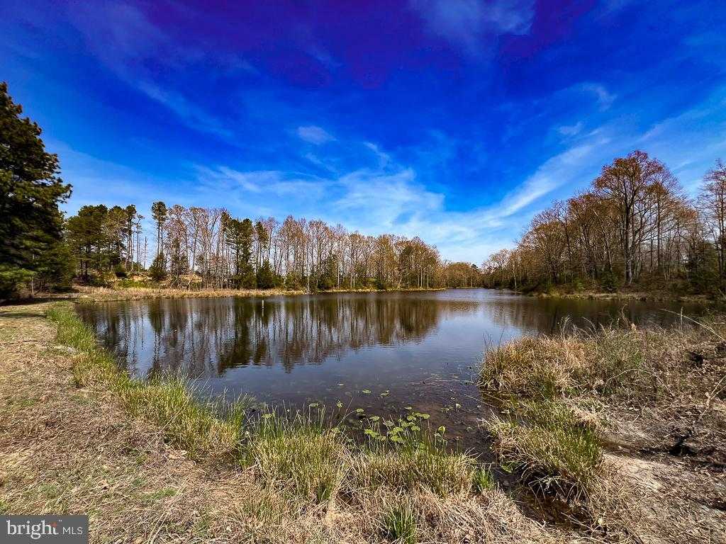 32082 Sparta Rd photo 3