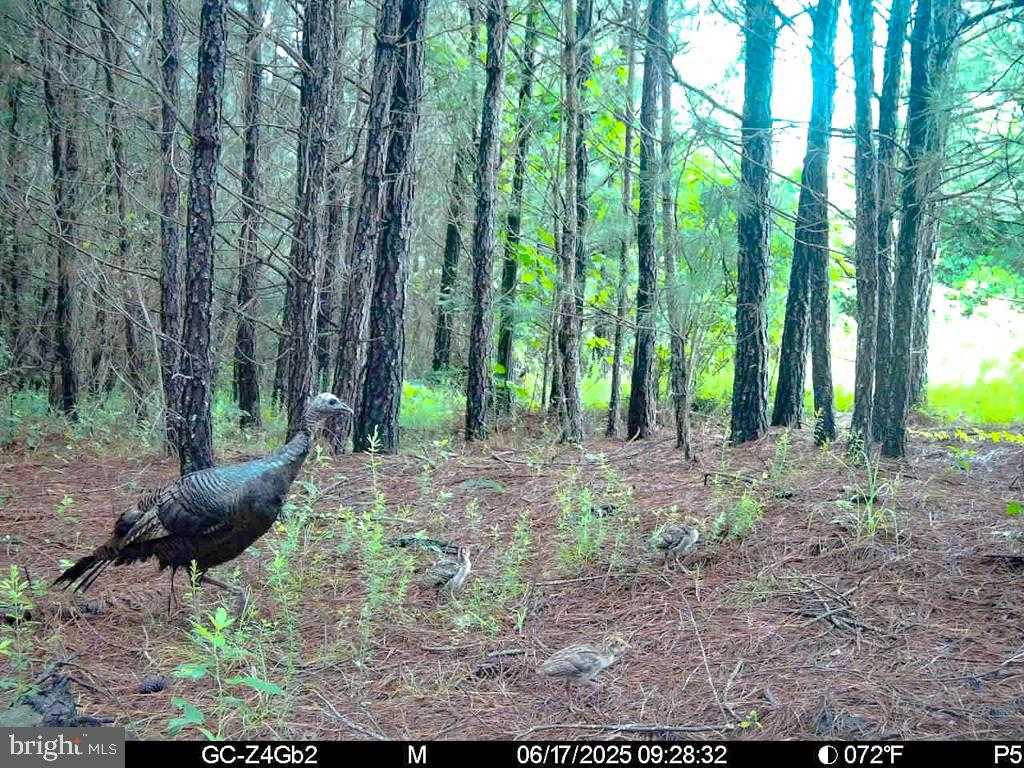 32082 Sparta Rd photo 4