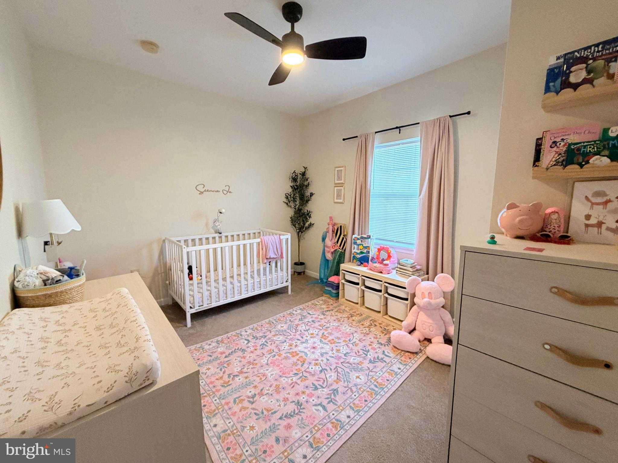 10 School Ln photo 22