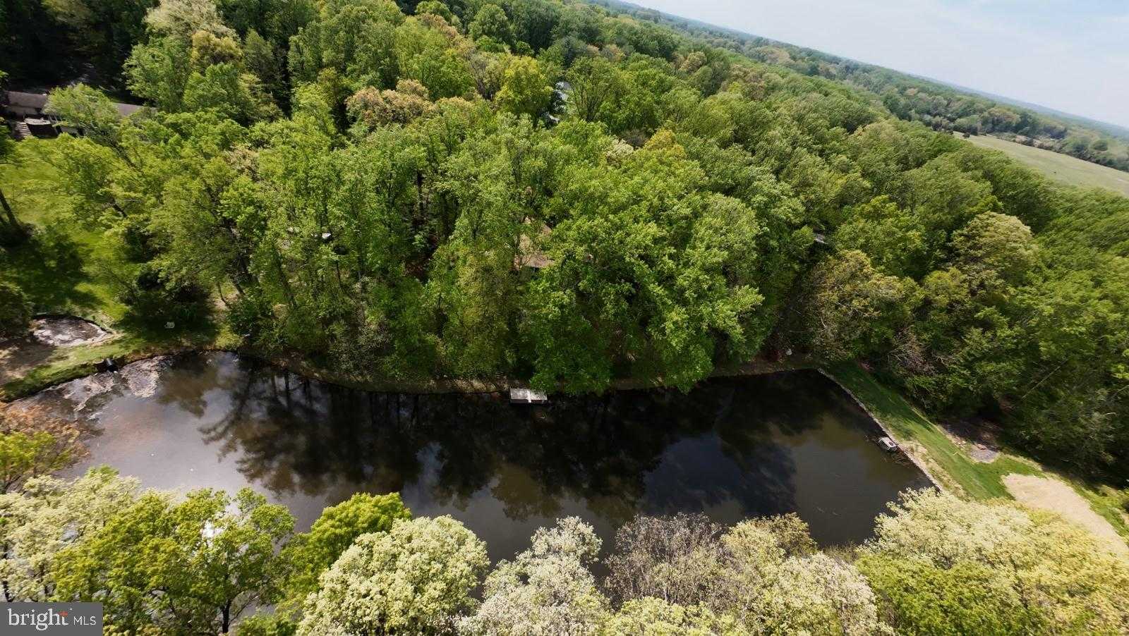 17821 Pond Rd photo 15