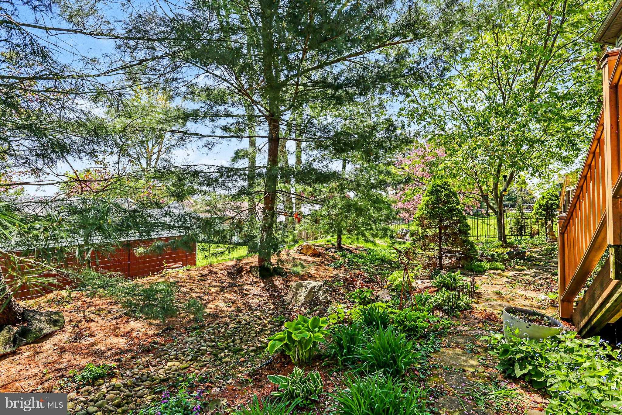 844 Victoria Ln photo 6