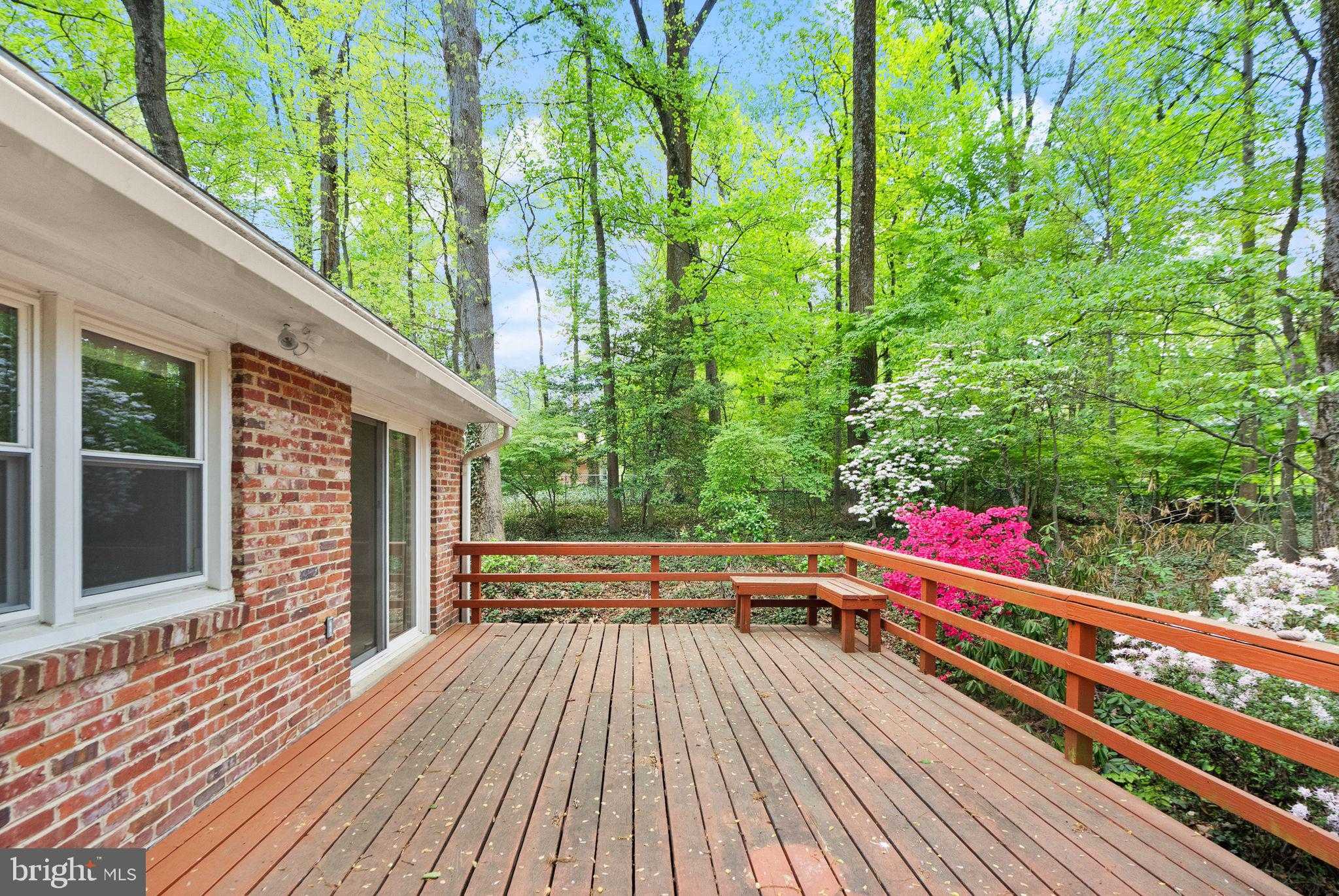 3702 Prado Pl photo 37