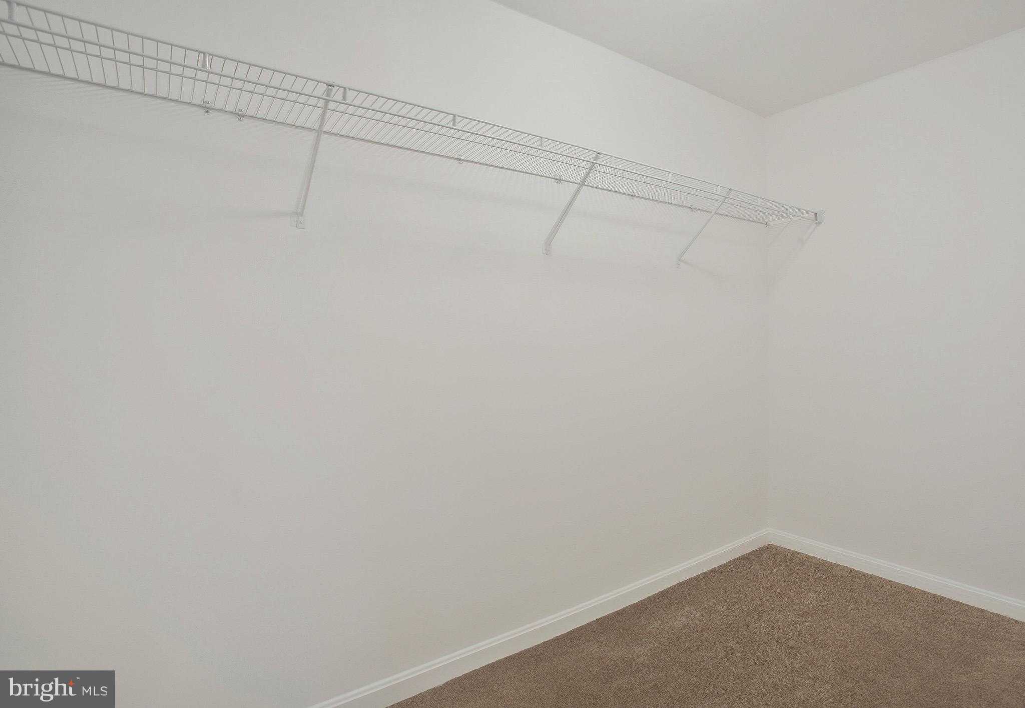 11541 Bootstrap Trl photo 24