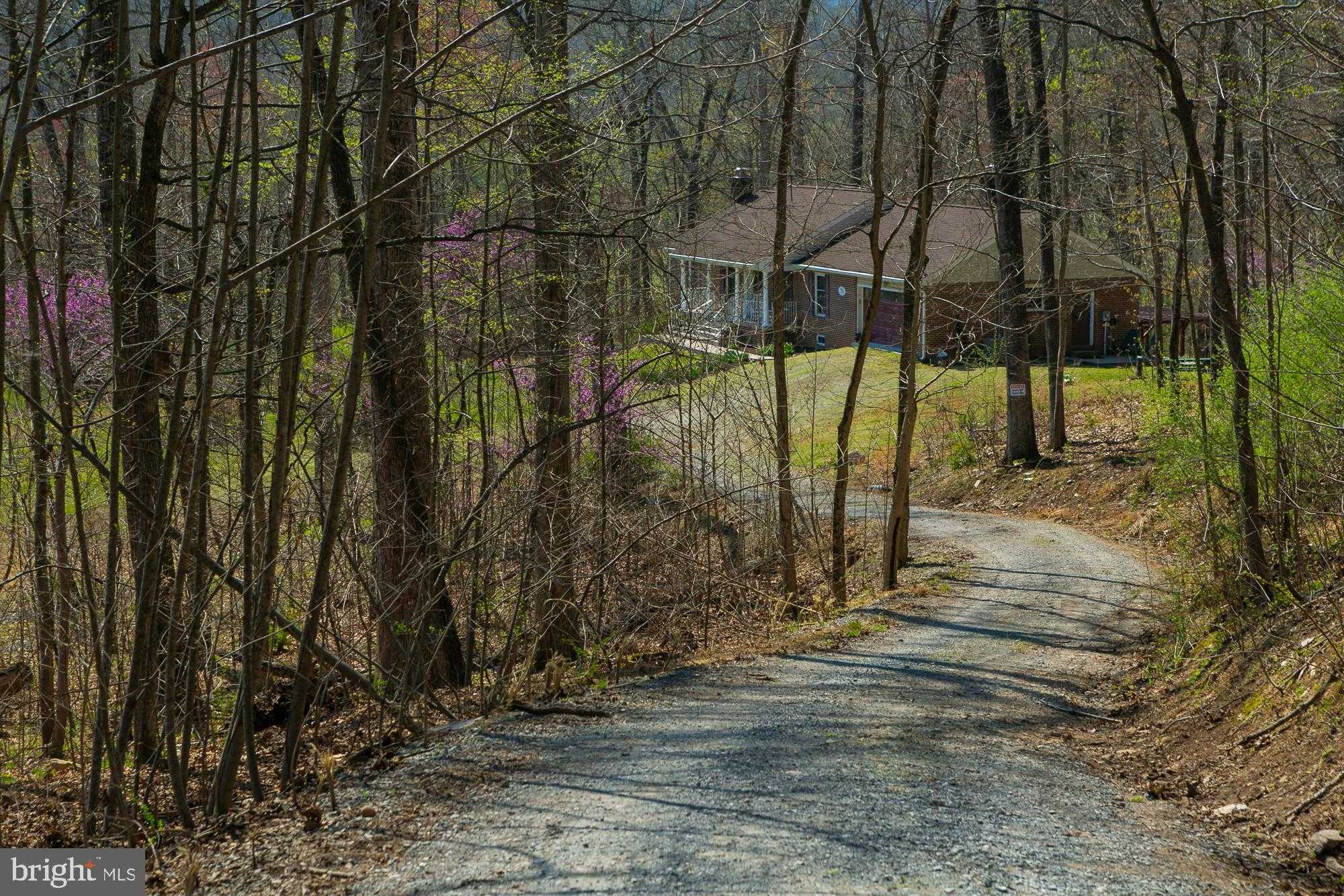 753 Seven Springs Rd photo 54