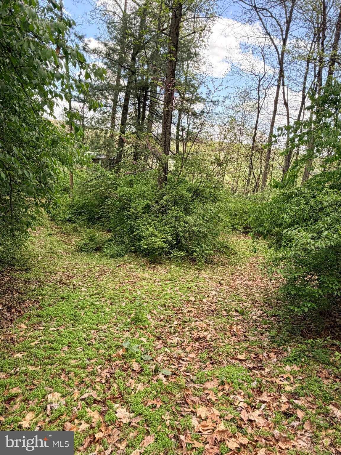 3038 Bethel Church Rd photo 110