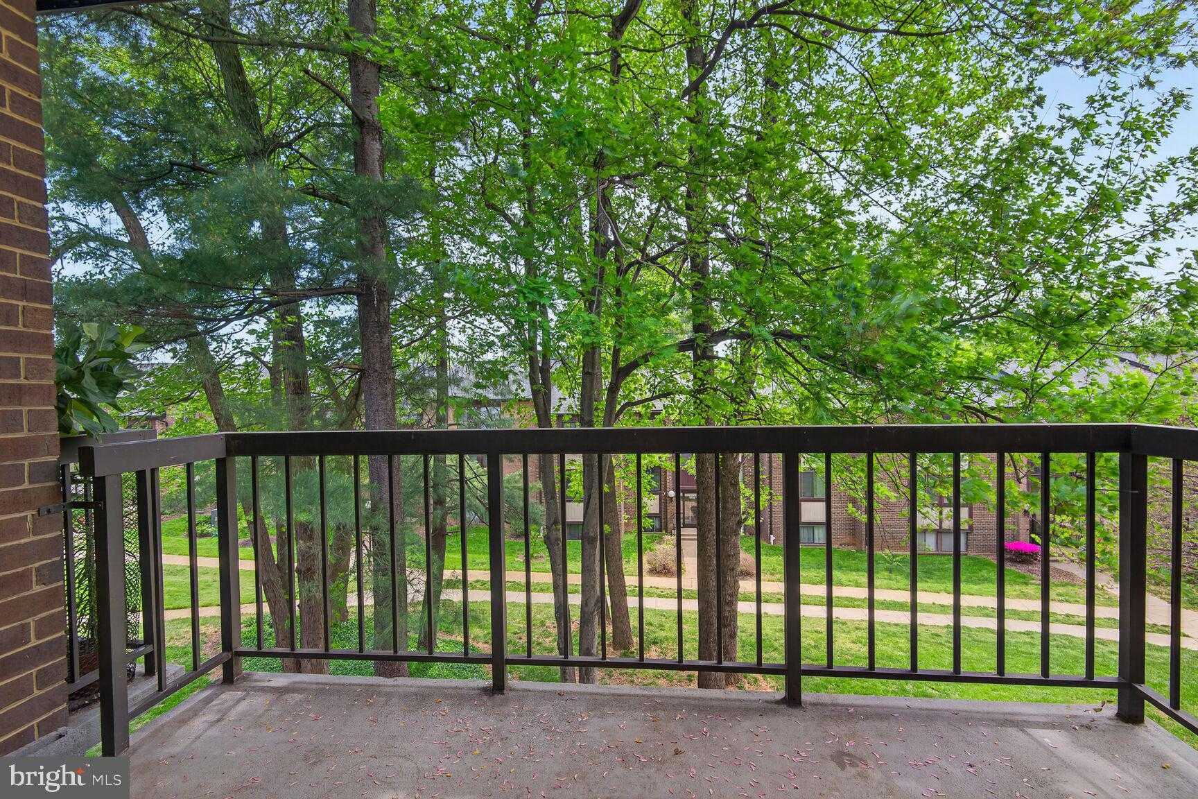 9725 Kings Crown CT Apt 202 photo 25