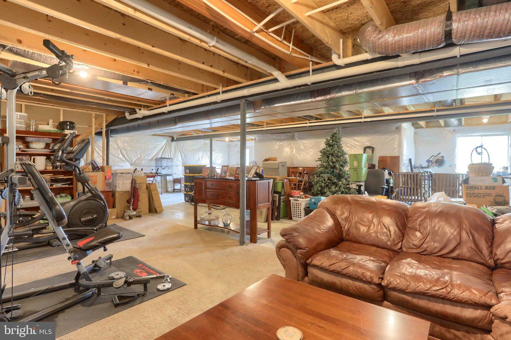 40 Williams Rd photo 37