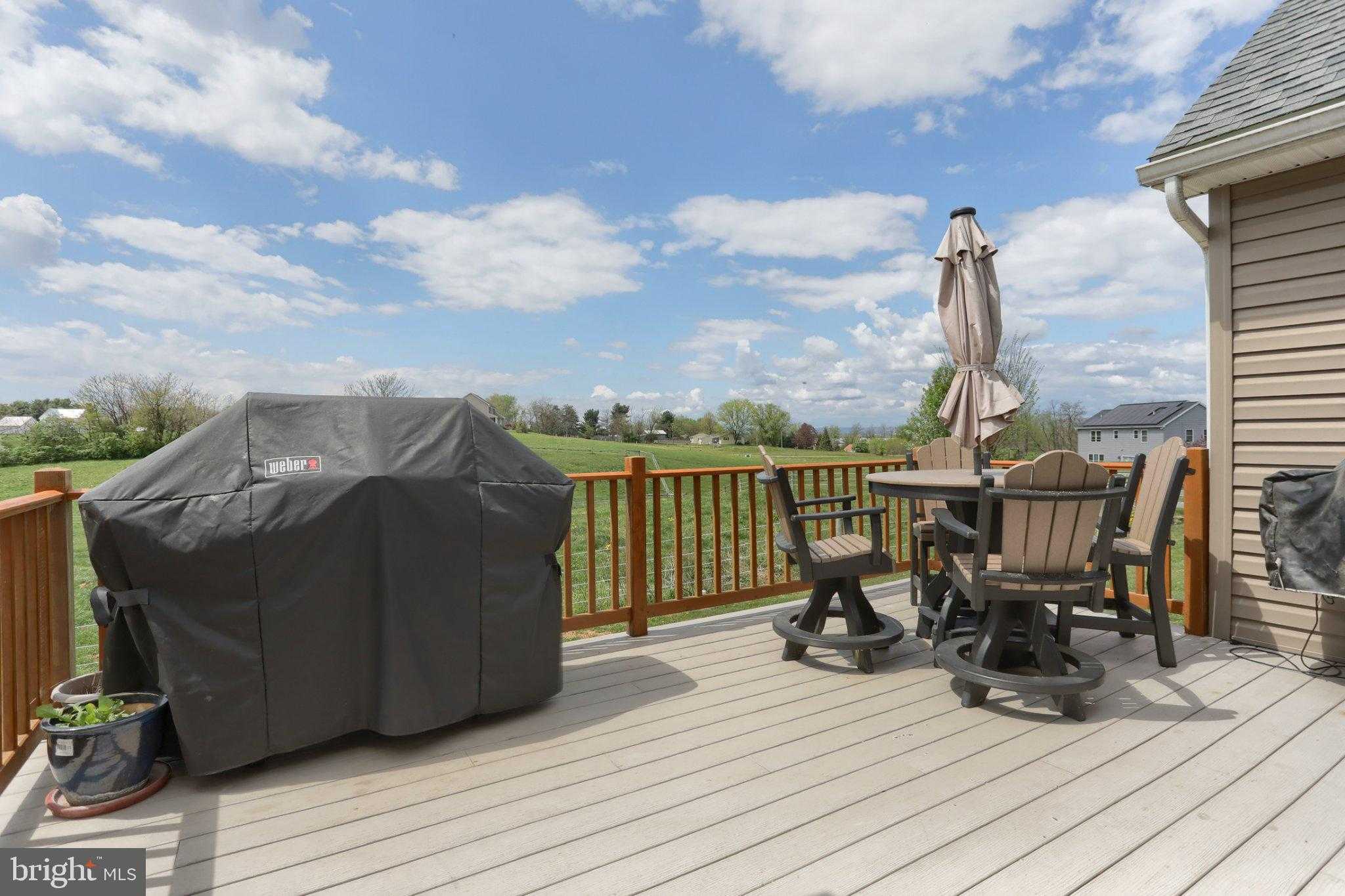 40 Williams Rd photo 49