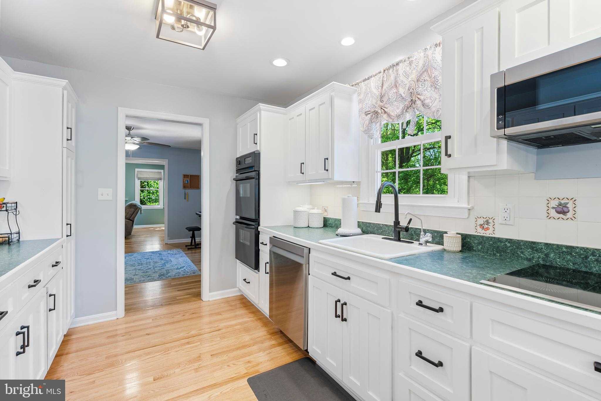 13716 Princess Anne Way photo 13