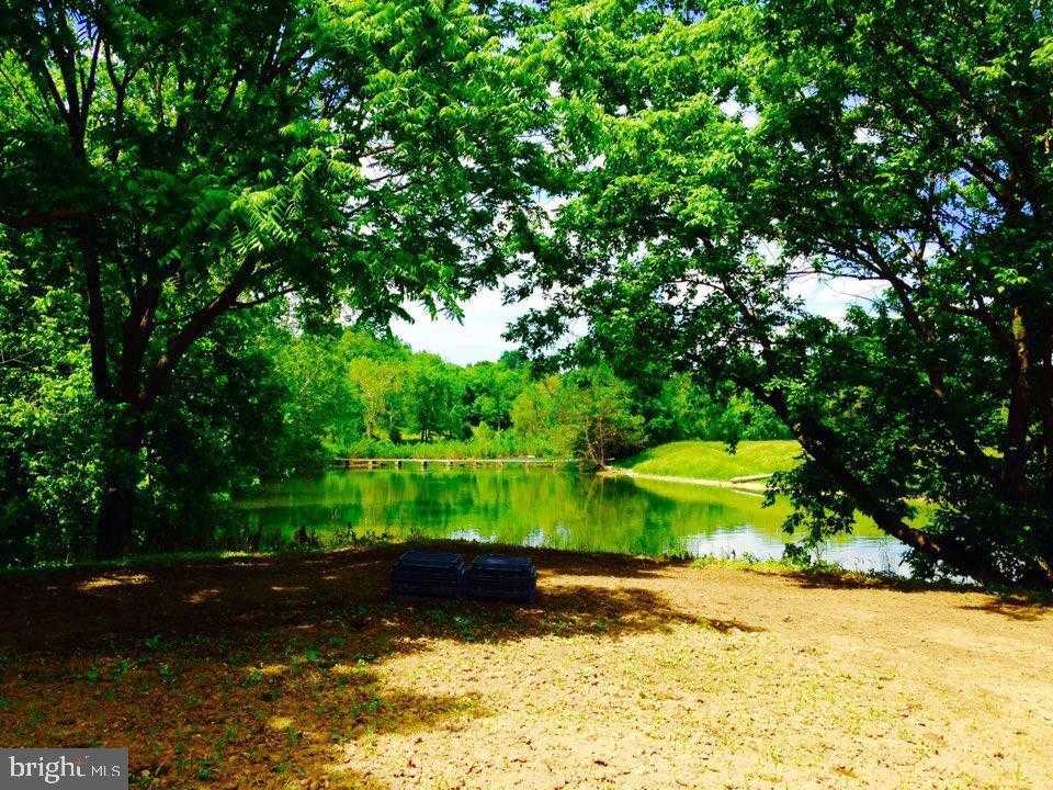 895 Fishers Rd photo 14