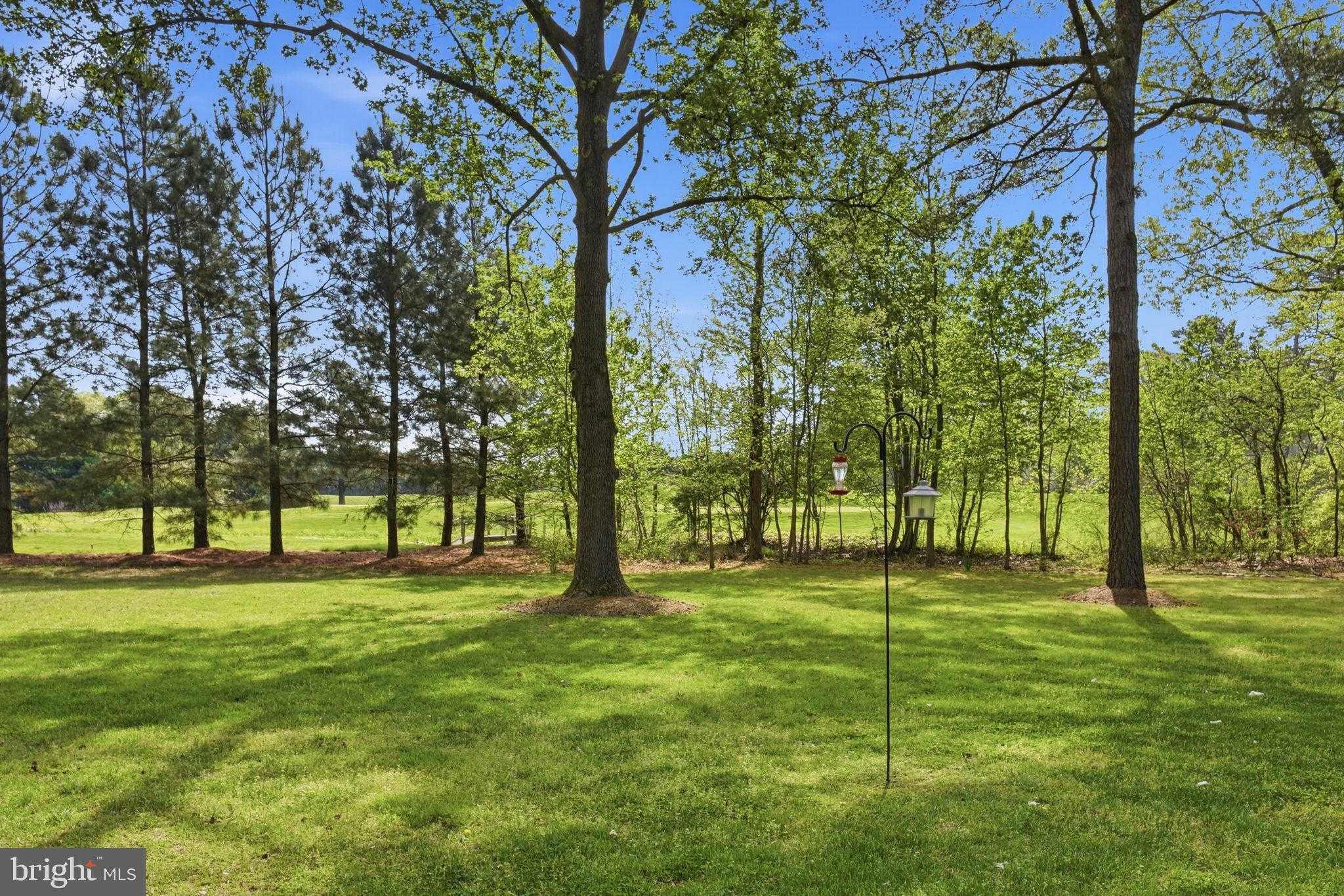 9359 Martingham Cir photo 2