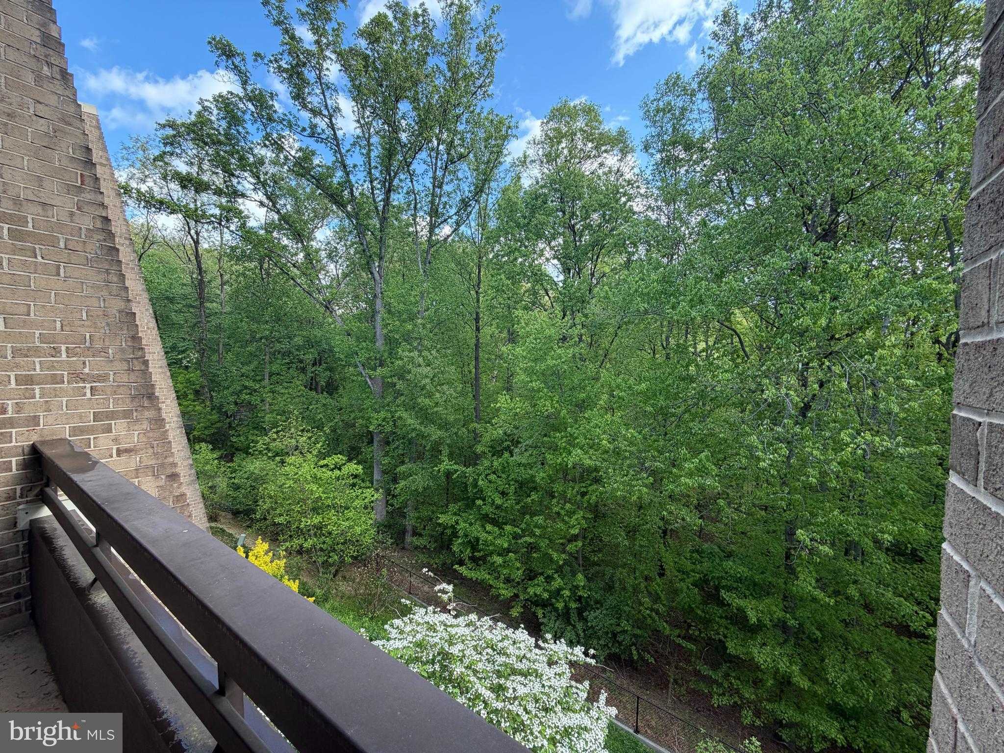 11564 Rolling Green Ct photo 7