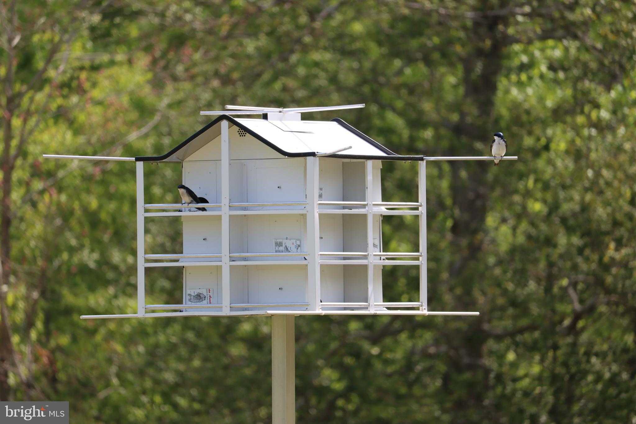 1185 Belle Meade Rd photo 99