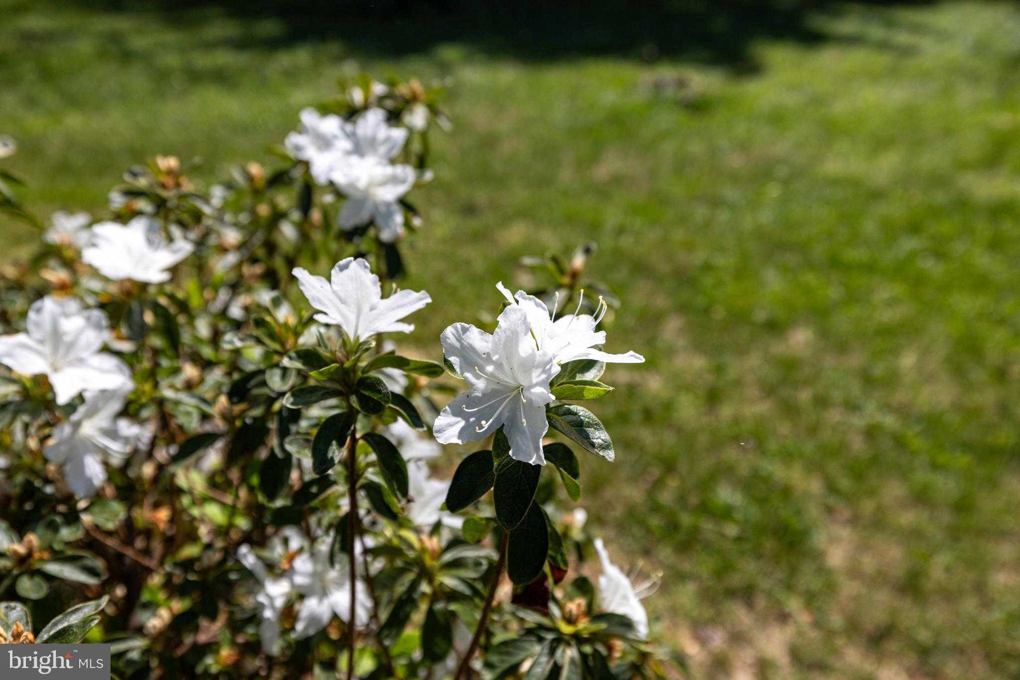 411 Fourth St photo 43