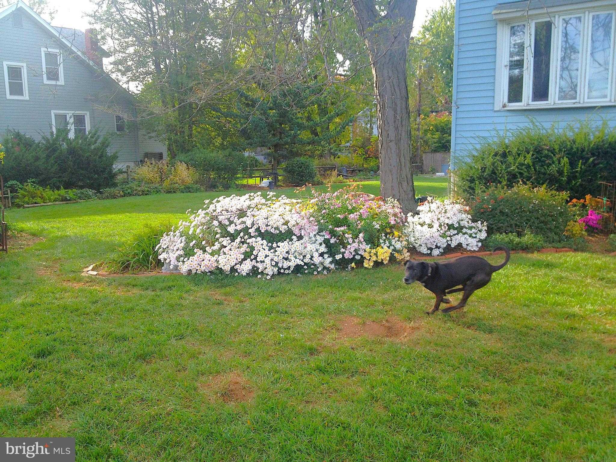 2008 Hillcrest Rd photo 14