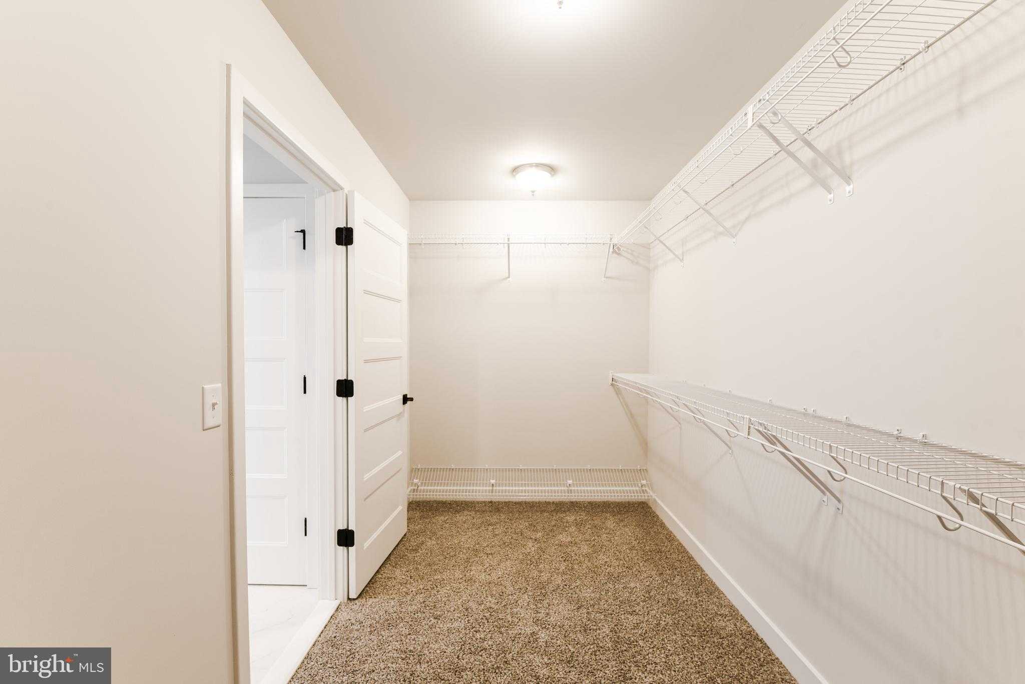 10625 Plank Rd photo 17