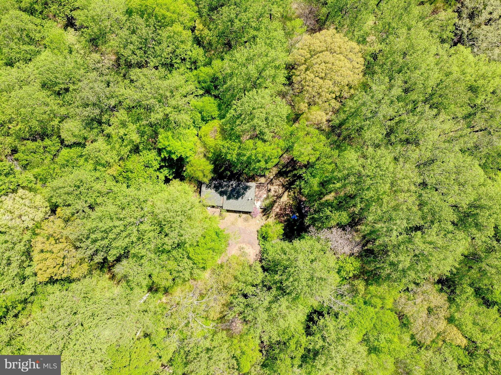 2050 Mccracken Dr photo 10