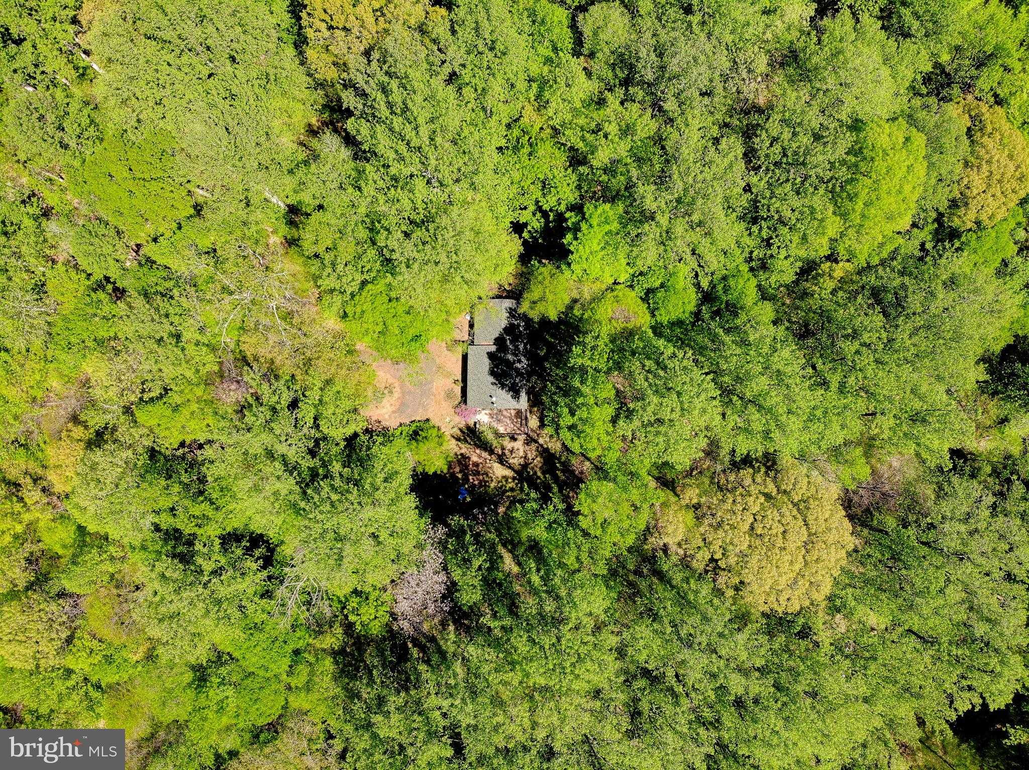 2050 Mccracken Dr photo 17