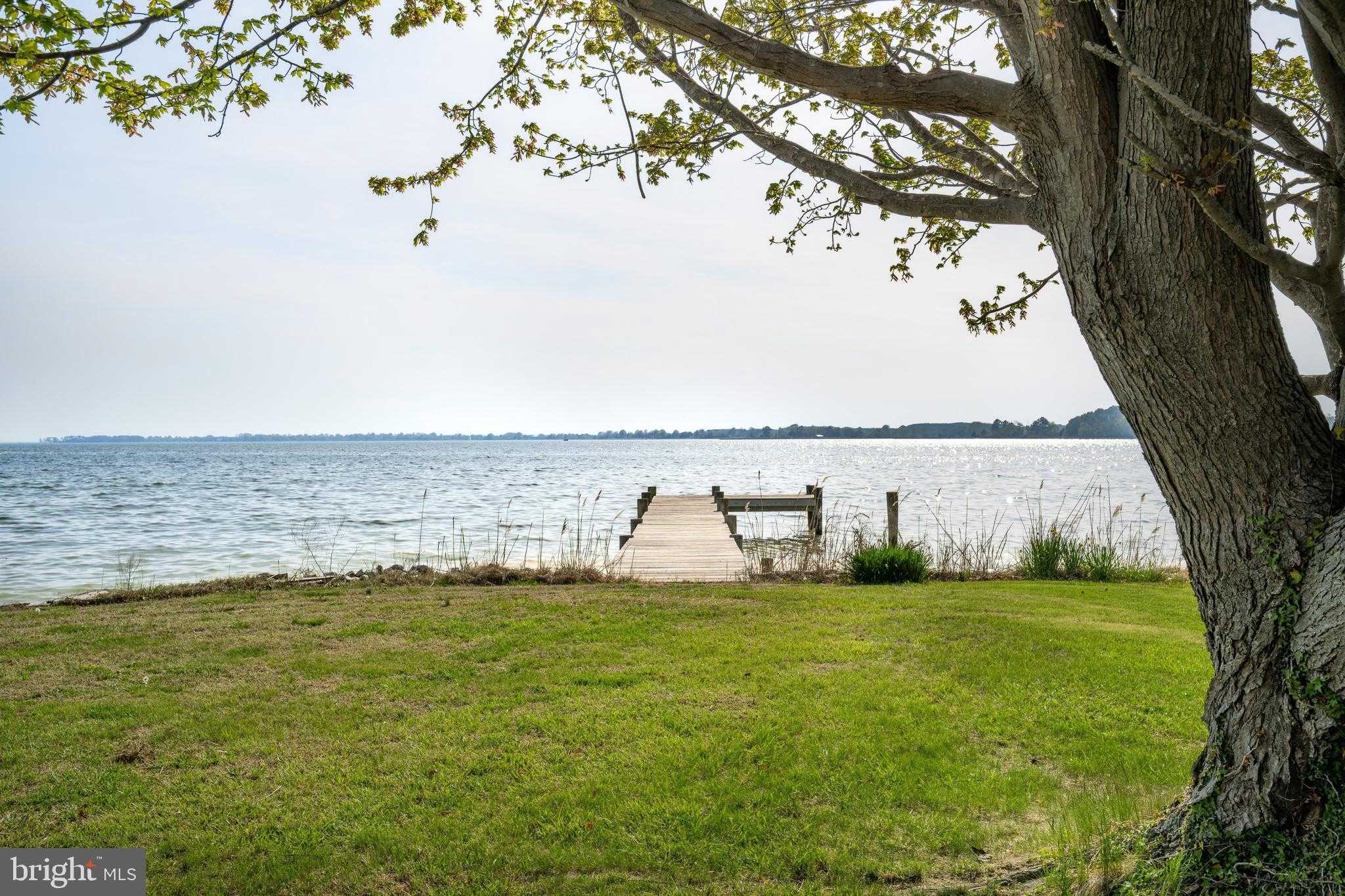 1700 Saint Marys Rd photo 7