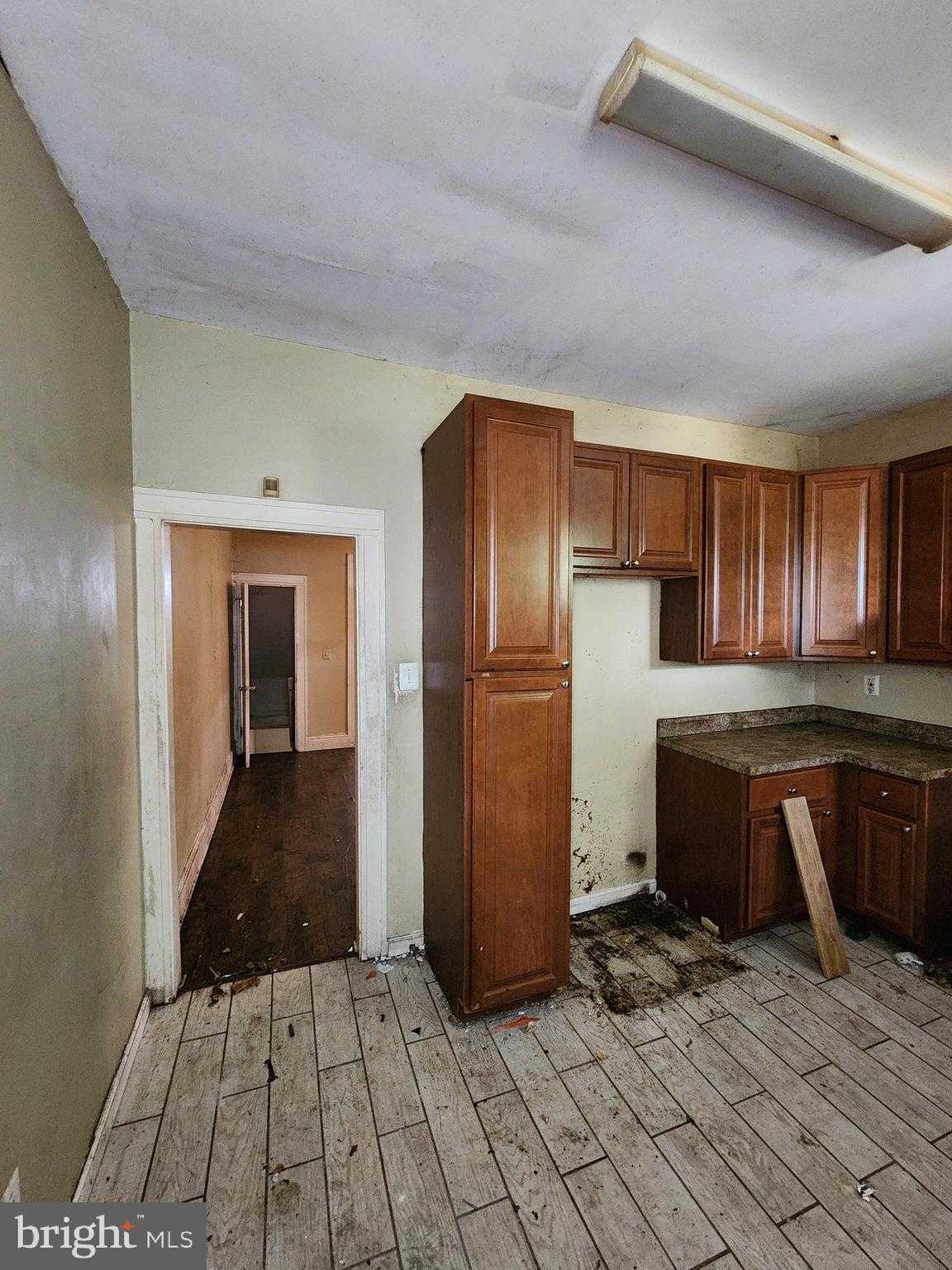 667 Dumbarton Ave photo 39