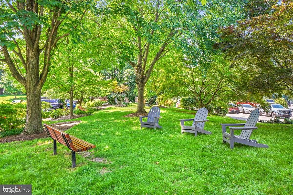 5902 Mount Eagle Dr Apt 1503 photo 101