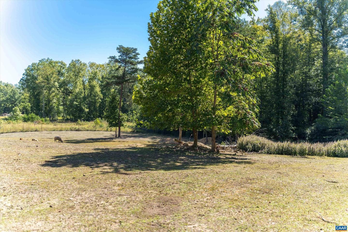 1889 Pond Rd photo 49