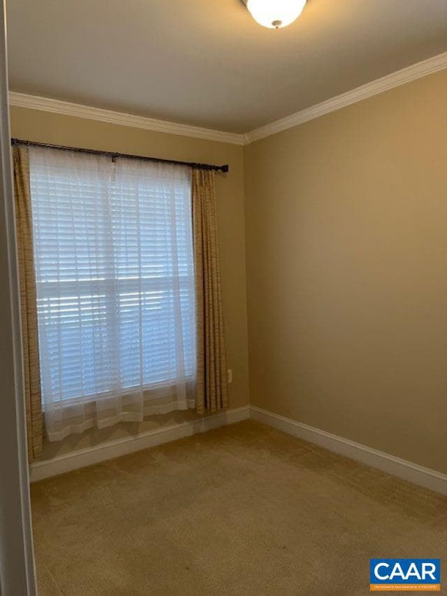 16 Cattail Loop photo 5
