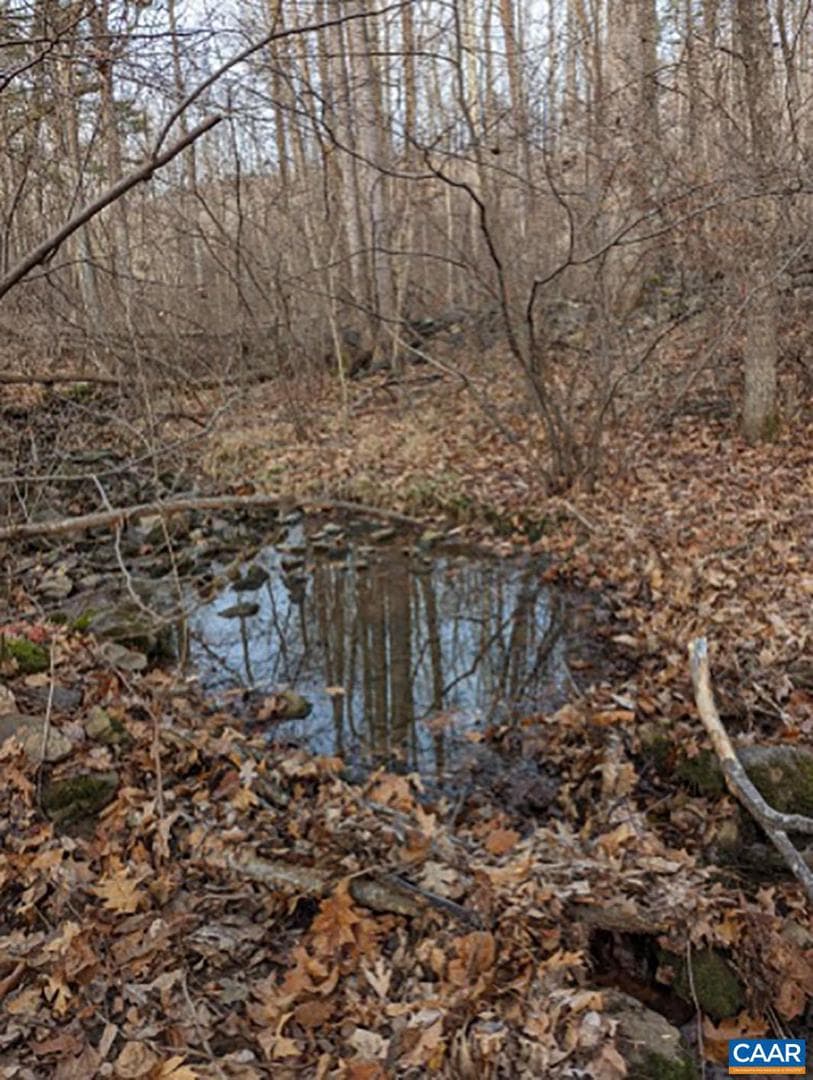 2005 Upper Stony Run photo 25