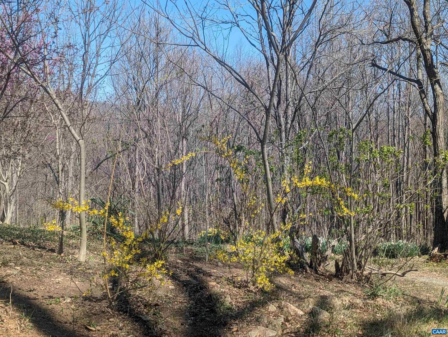 2005 Upper Stony Run photo 43