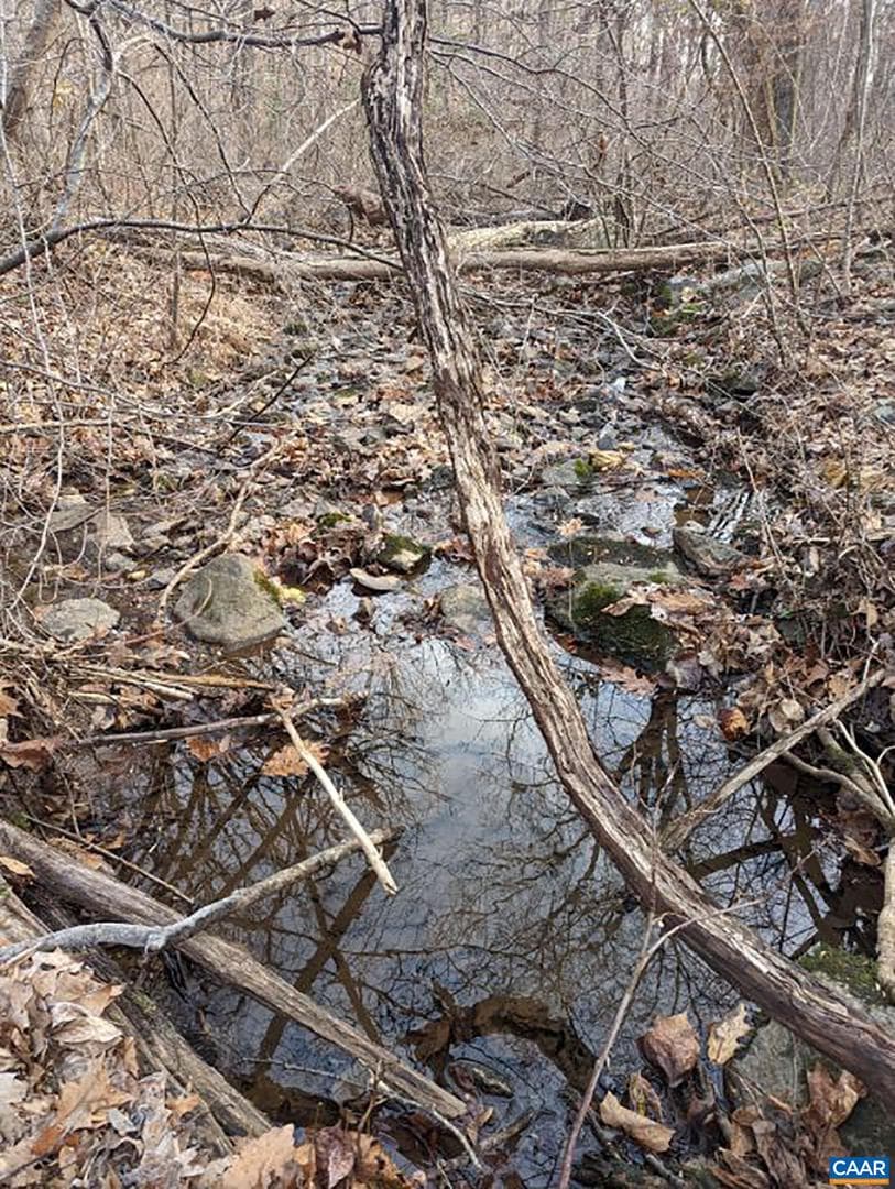 2005 Upper Stony Run photo 64