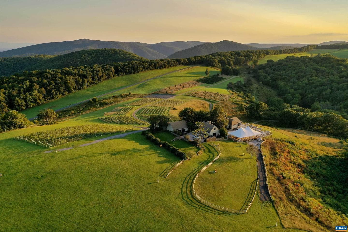 24981 Blue Ridge Pkwy photo 4