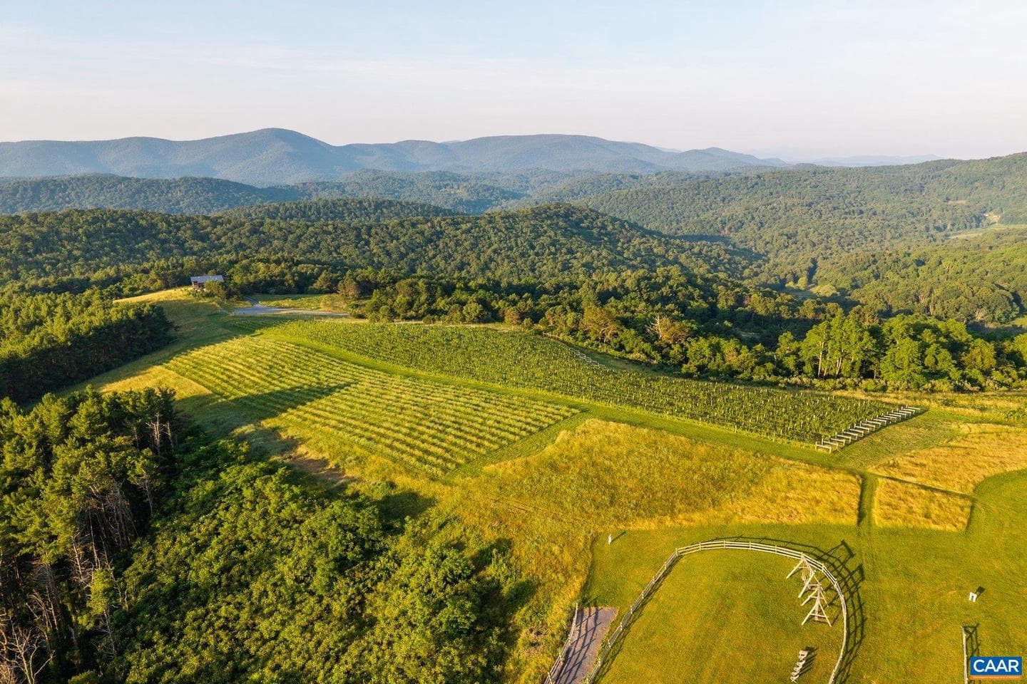 24981 Blue Ridge Pkwy photo 55