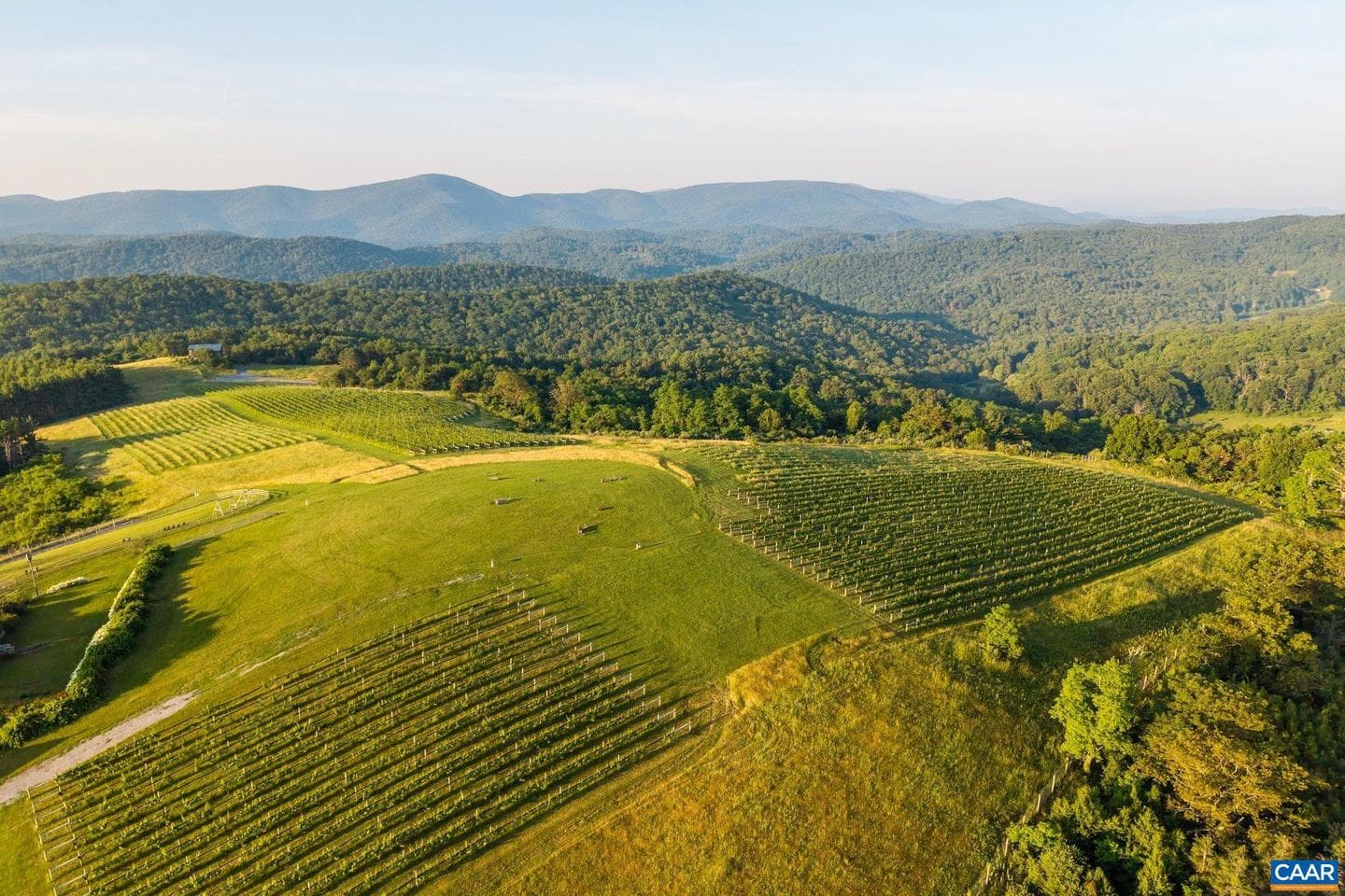 24981 Blue Ridge Pkwy photo 59