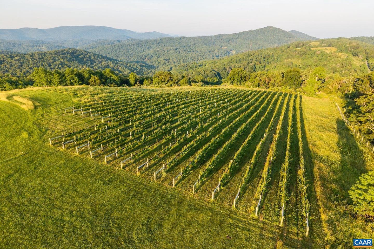 24981 Blue Ridge Pkwy photo 60