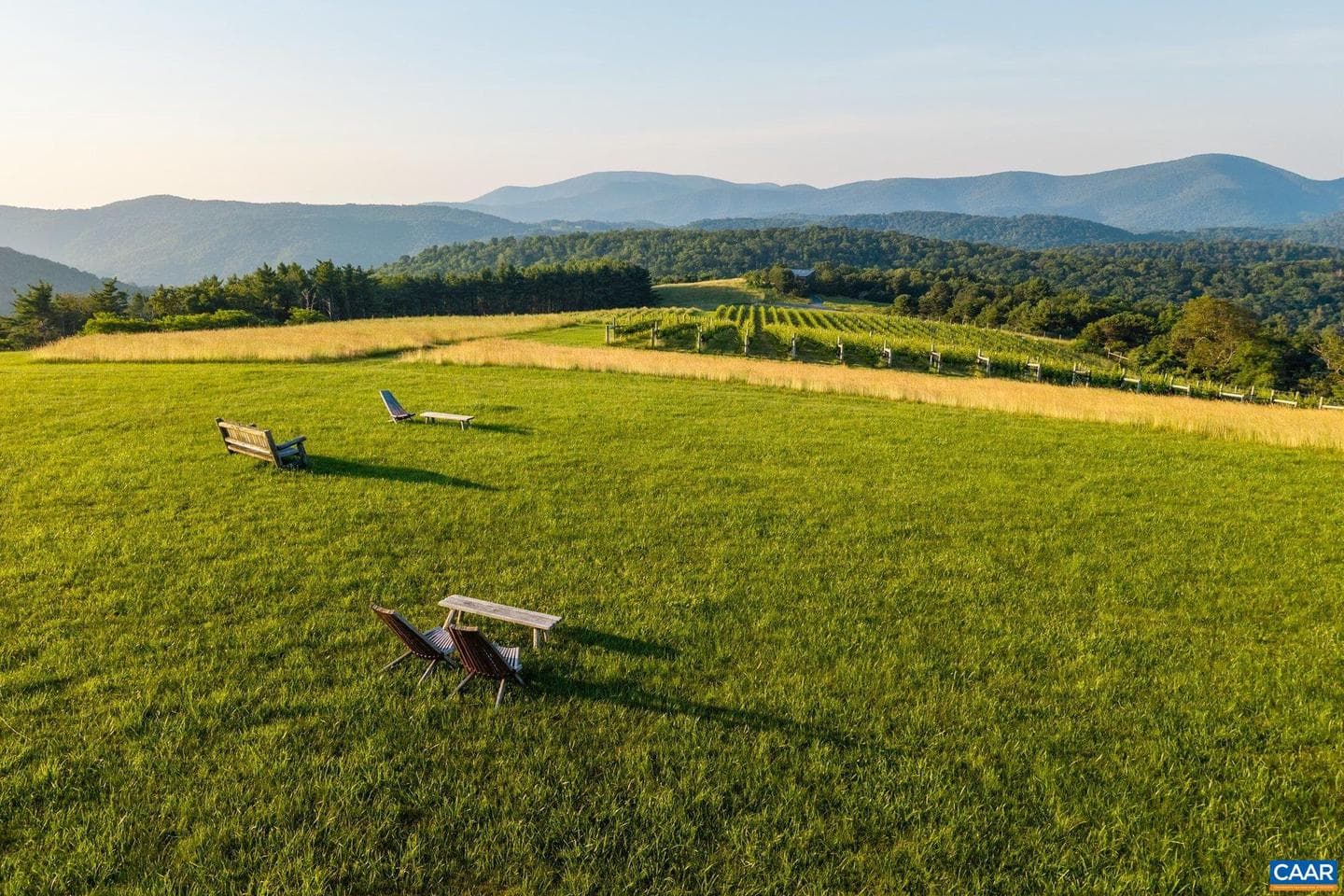 24981 Blue Ridge Pkwy photo 64