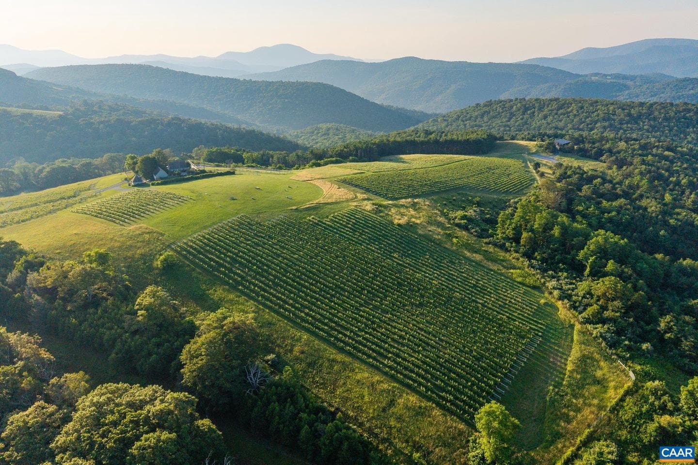 24981 Blue Ridge Pkwy photo 67