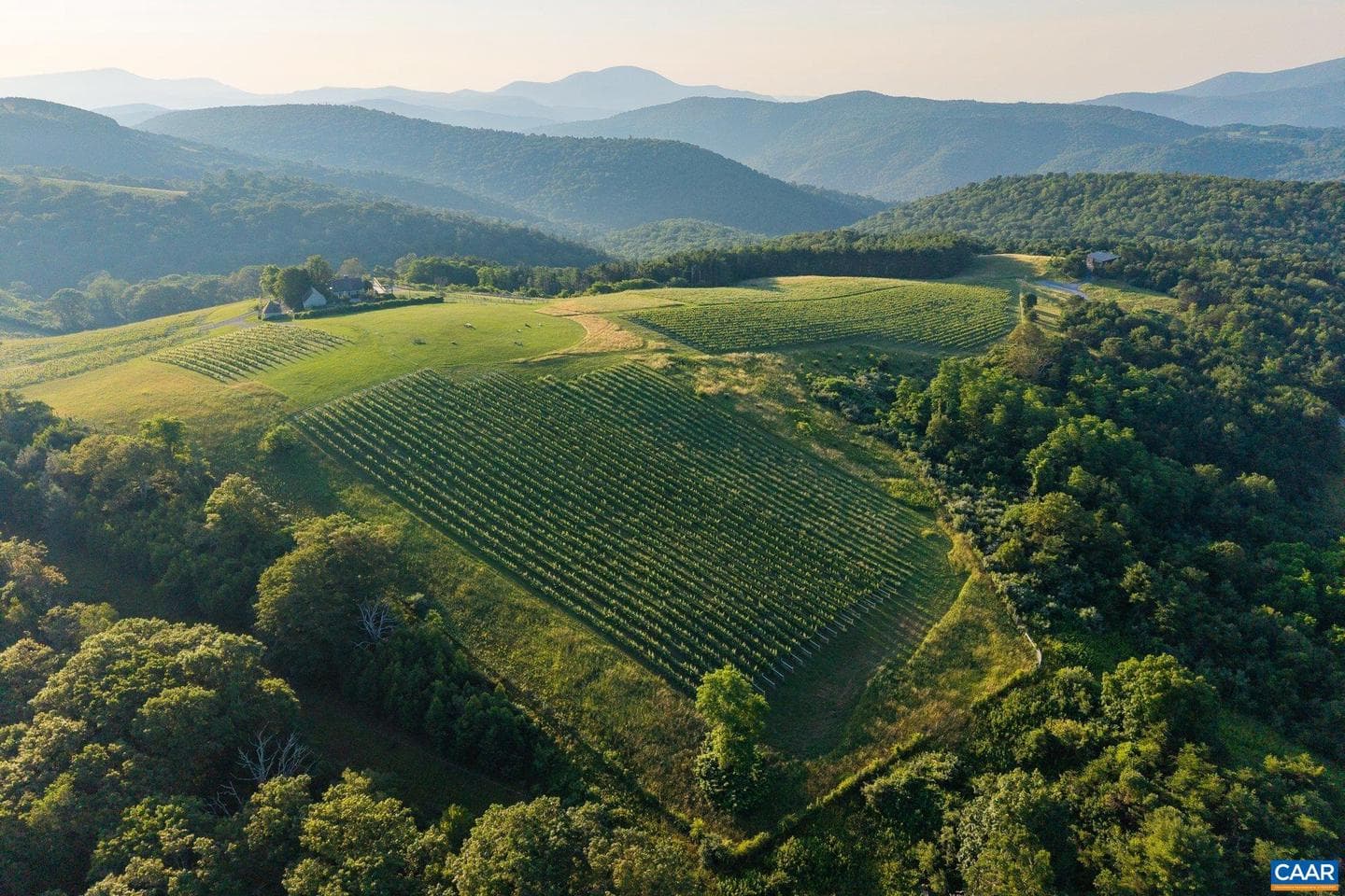 24981 Blue Ridge Pkwy photo 68