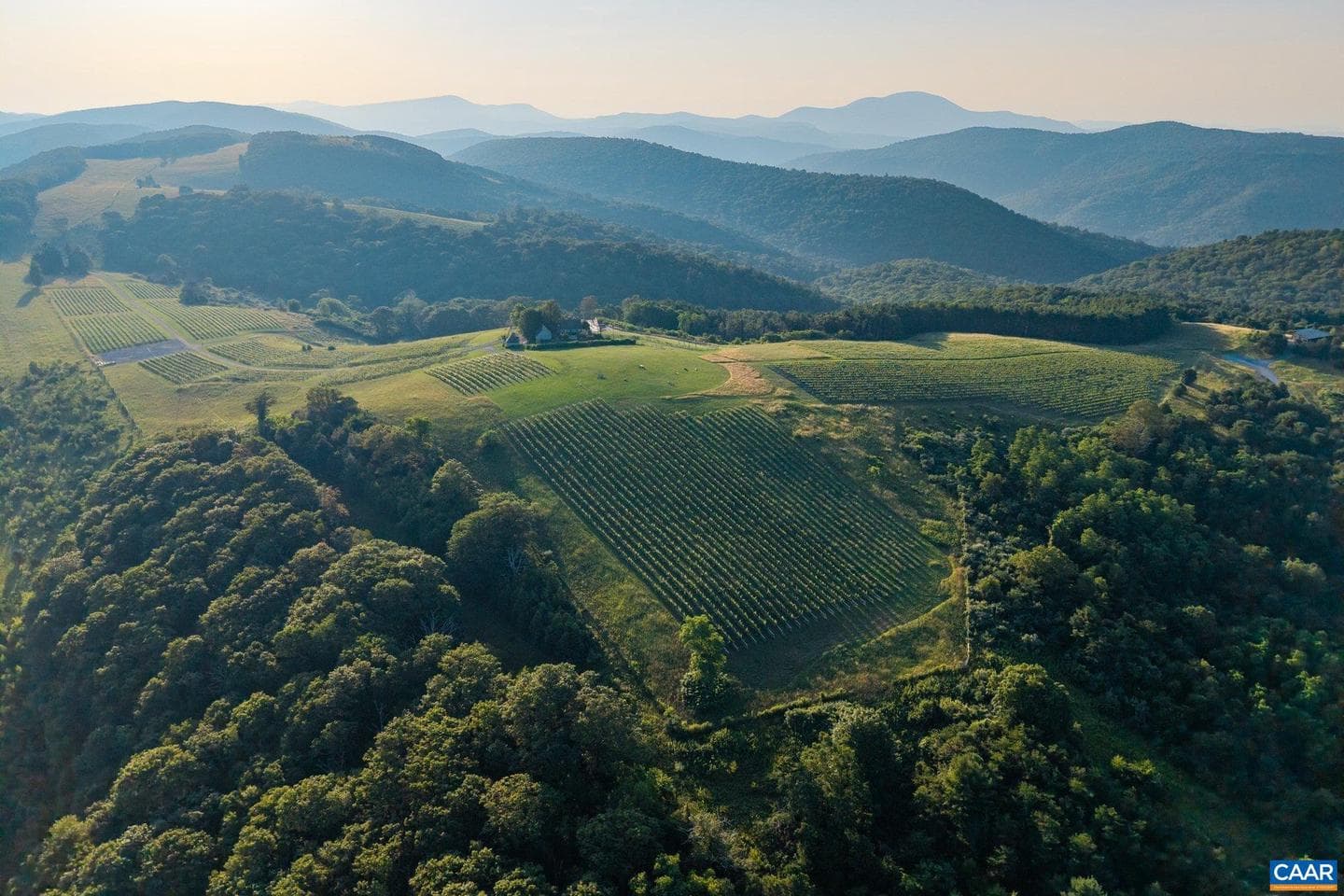 24981 Blue Ridge Pkwy photo 69