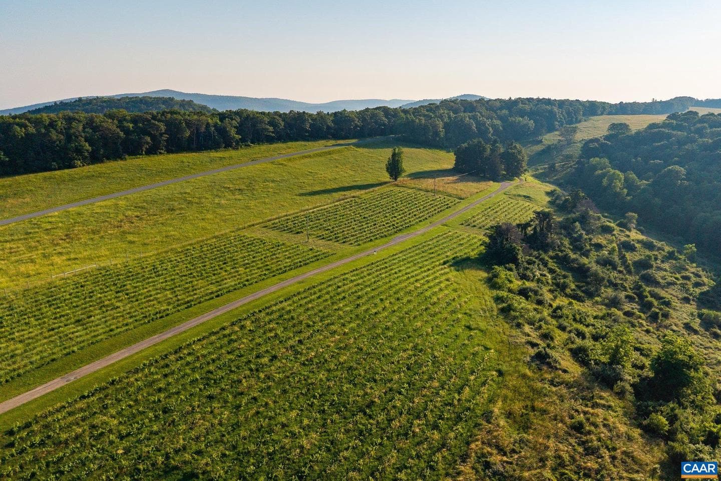 24981 Blue Ridge Pkwy photo 72