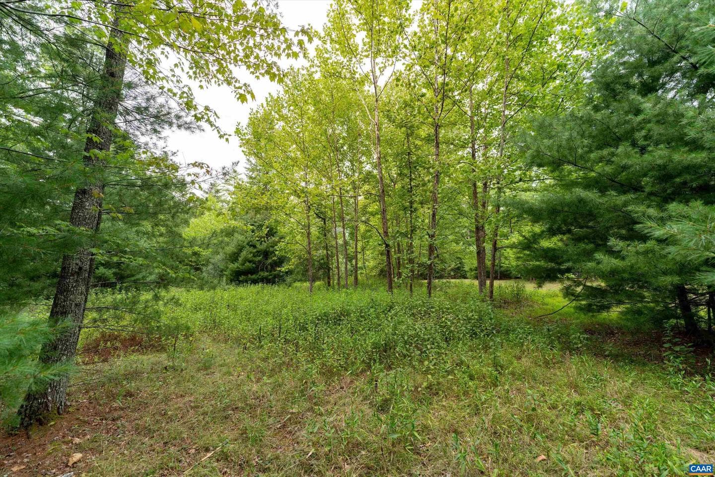 277 Coffee Pot Rd photo 25