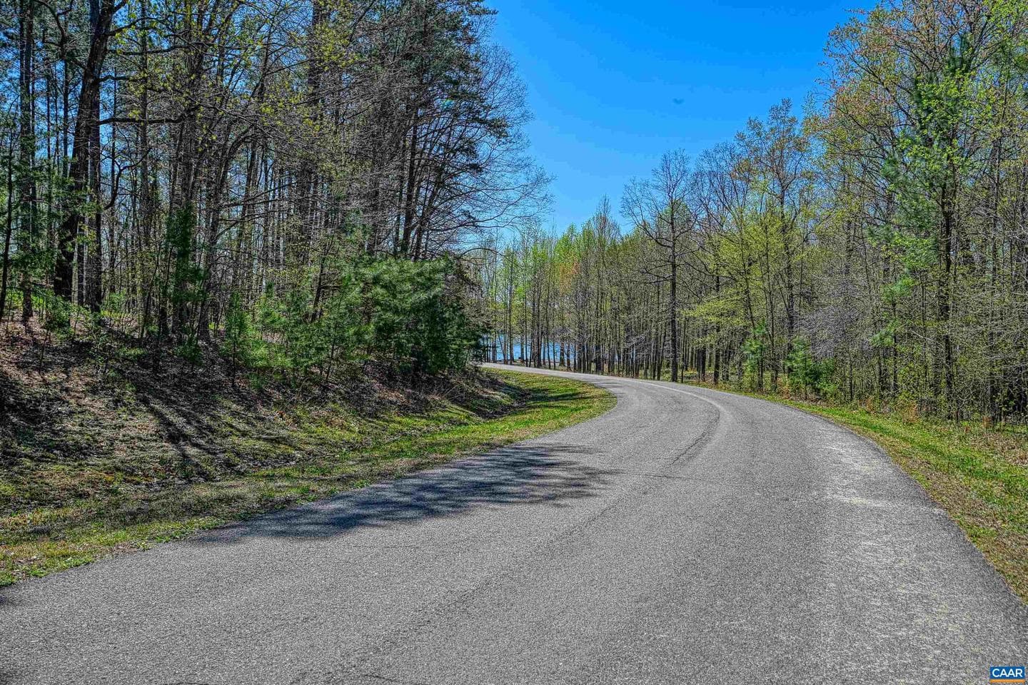 295 Hemlock Loop photo 56