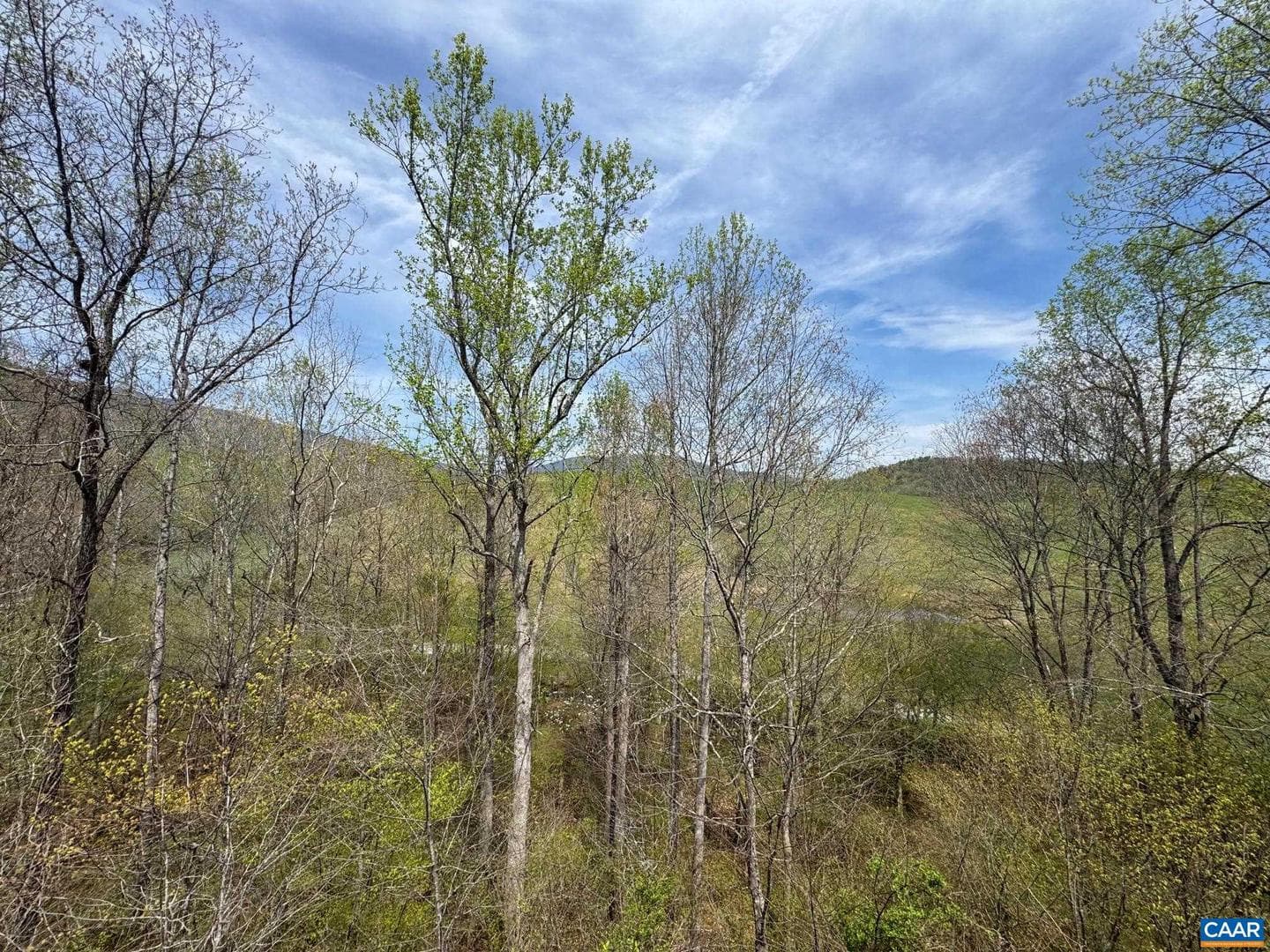 7035 Blackwells Hollow Rd photo 25