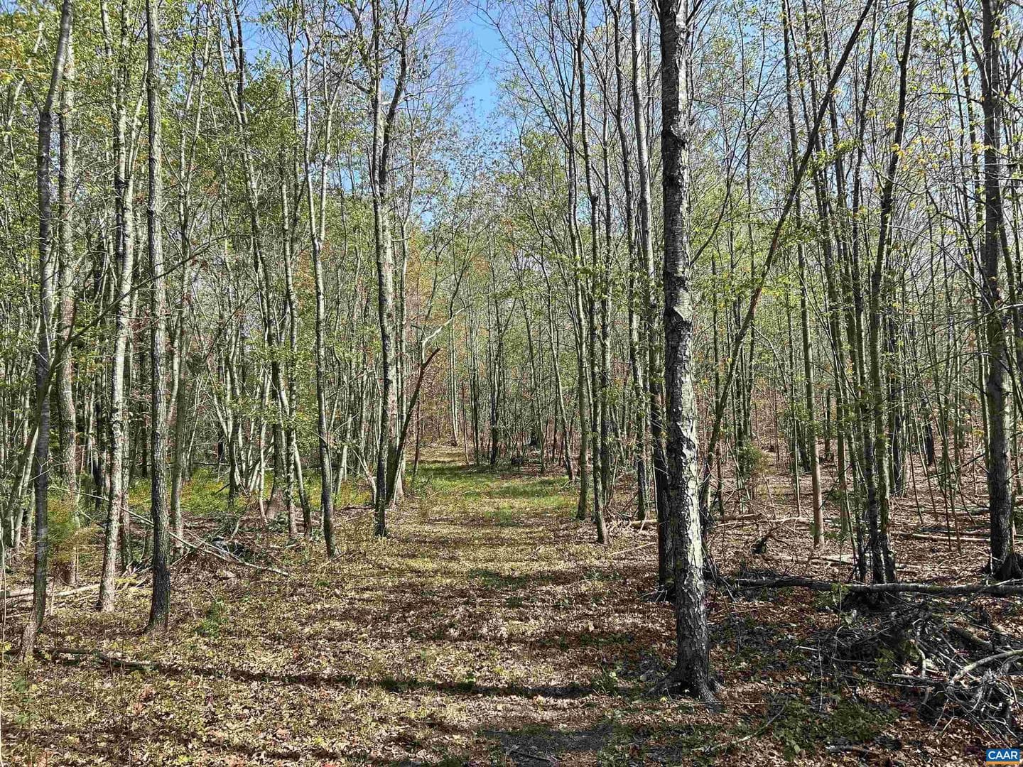 4064 Deep Creek Rd photo 25