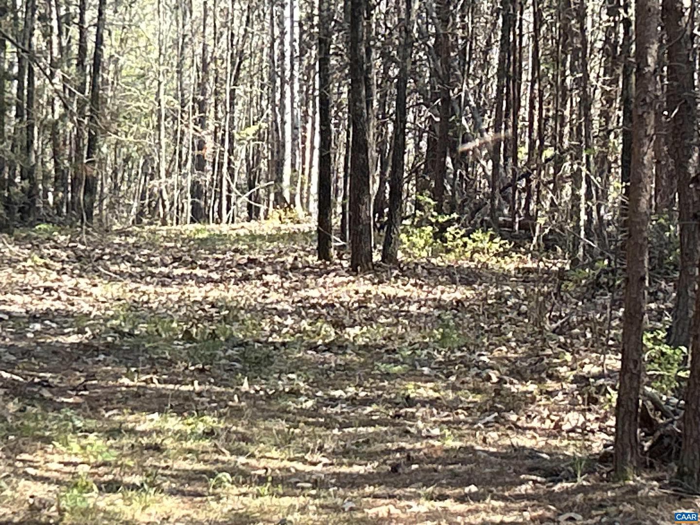 4064 Deep Creek Rd photo 31