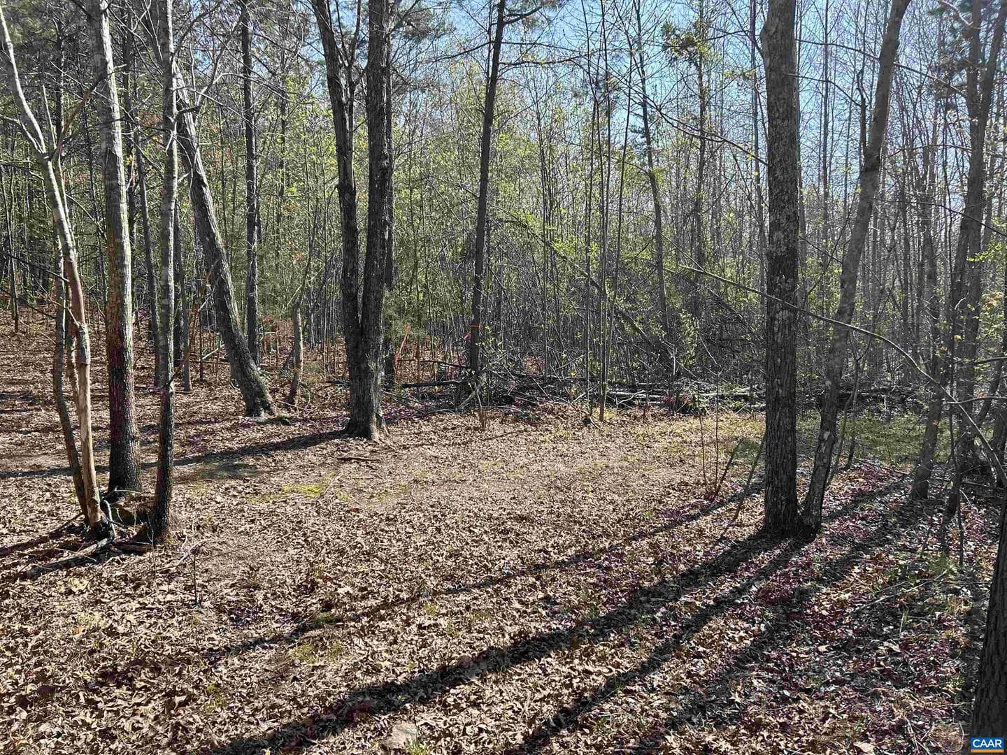 4064 Deep Creek Rd photo 33