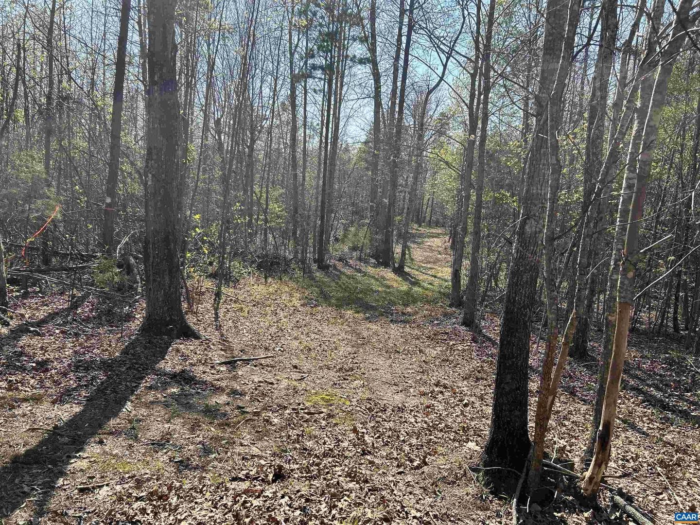 4064 Deep Creek Rd photo 35