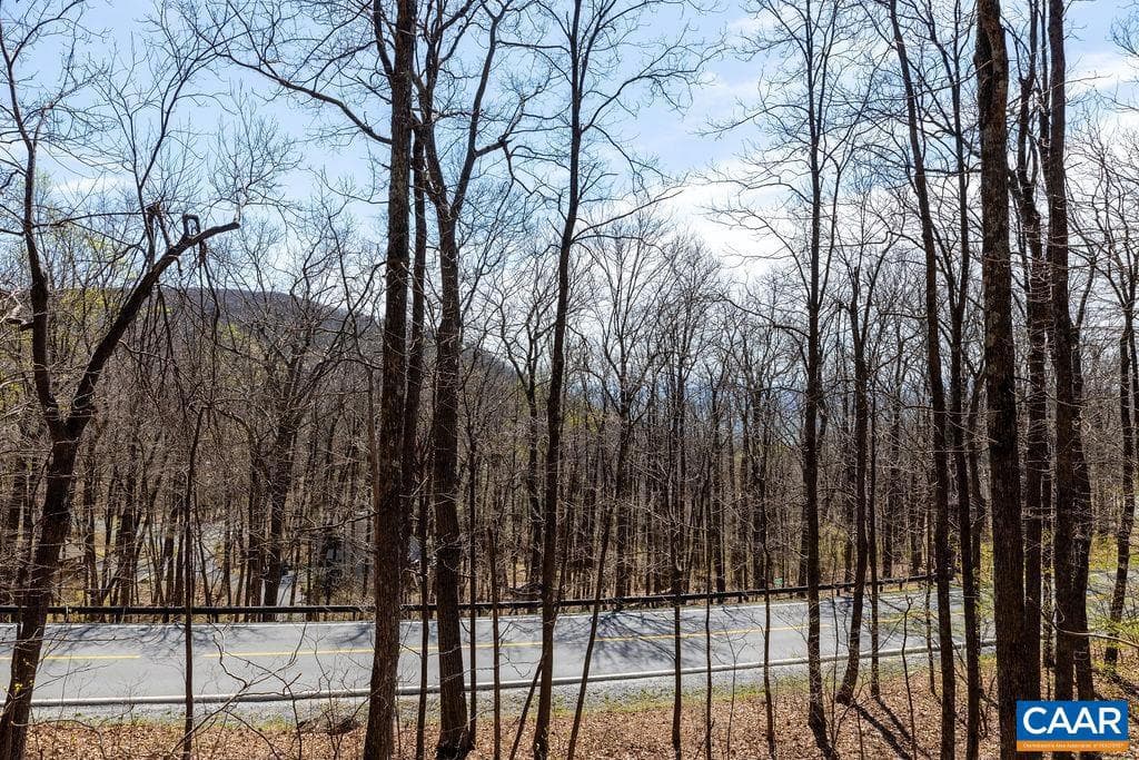 87 Firtree Dr photo 33