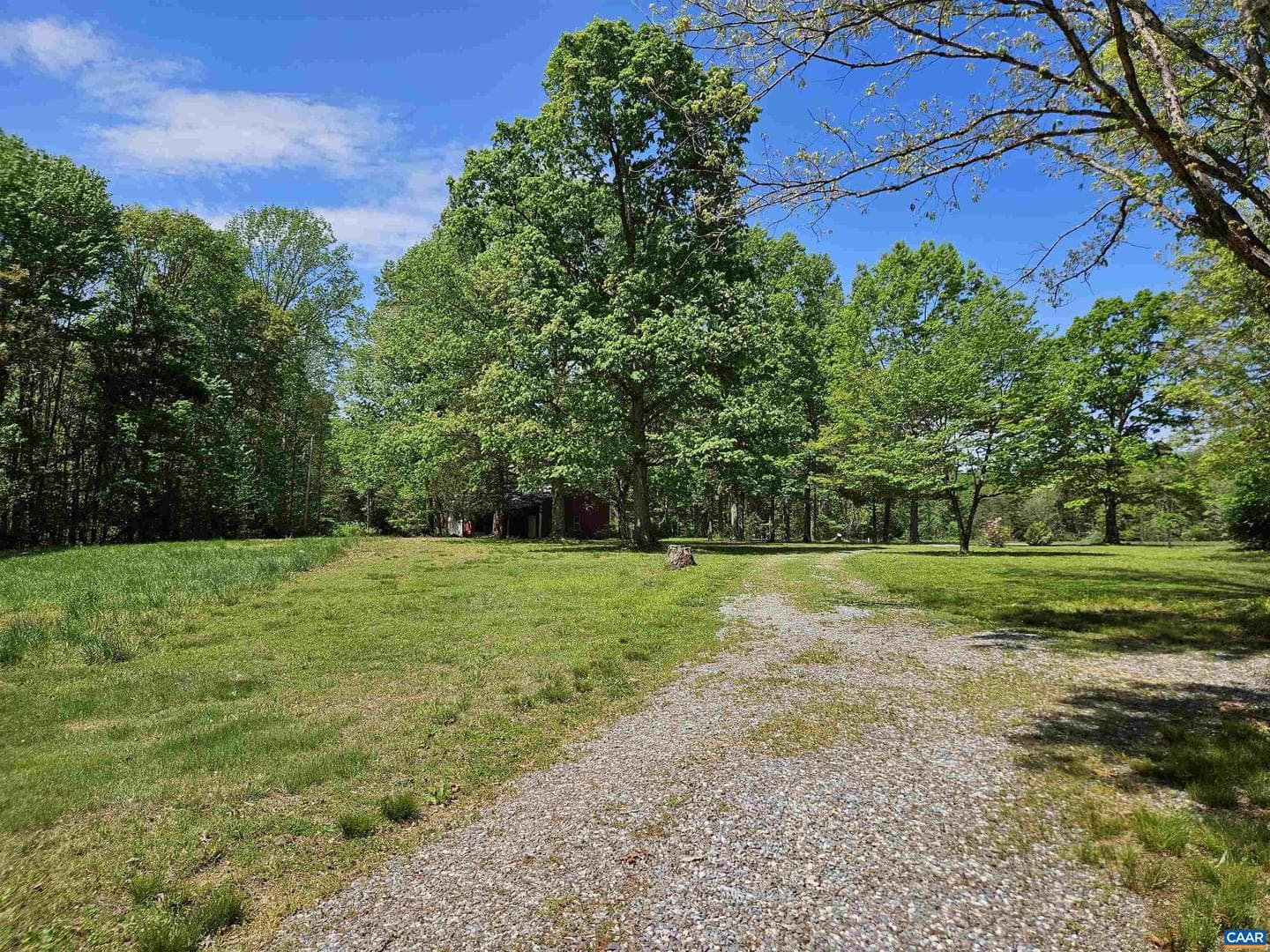 12920 Francisco Rd photo 16